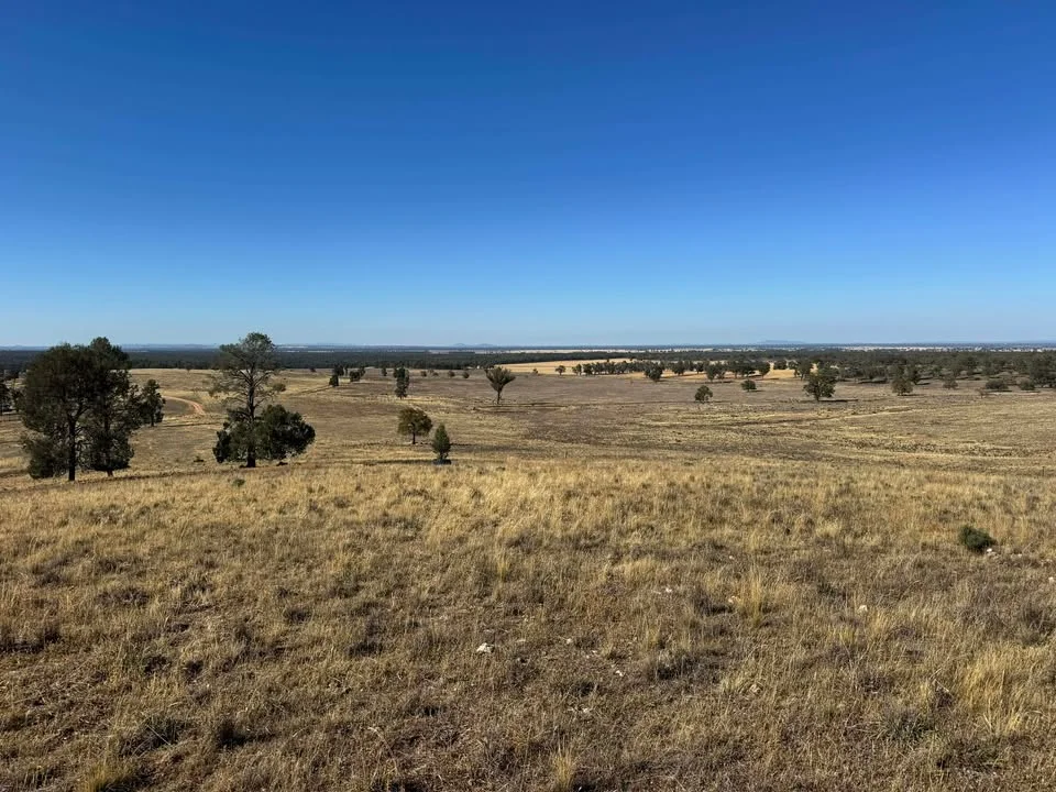 Additional image 2 of 117 Hillside Lane, Parkes NSW 2870