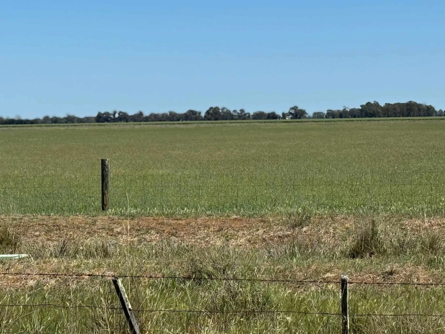 901 - 903 Johnson Road, Kotta VIC 3565