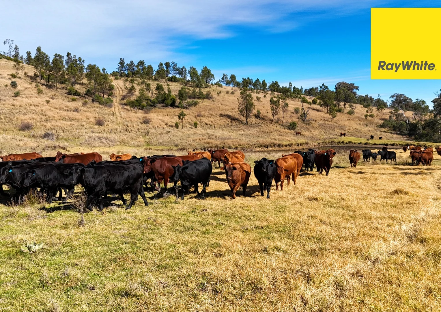 Additional image 9 of 406 Dry Creek Road, Inverell NSW 2360