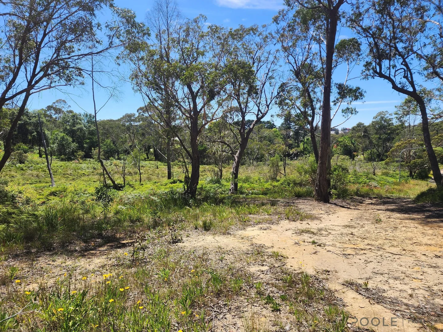 Additional image 3 of Lot 24 Lomandra Place, Katoomba NSW 2780