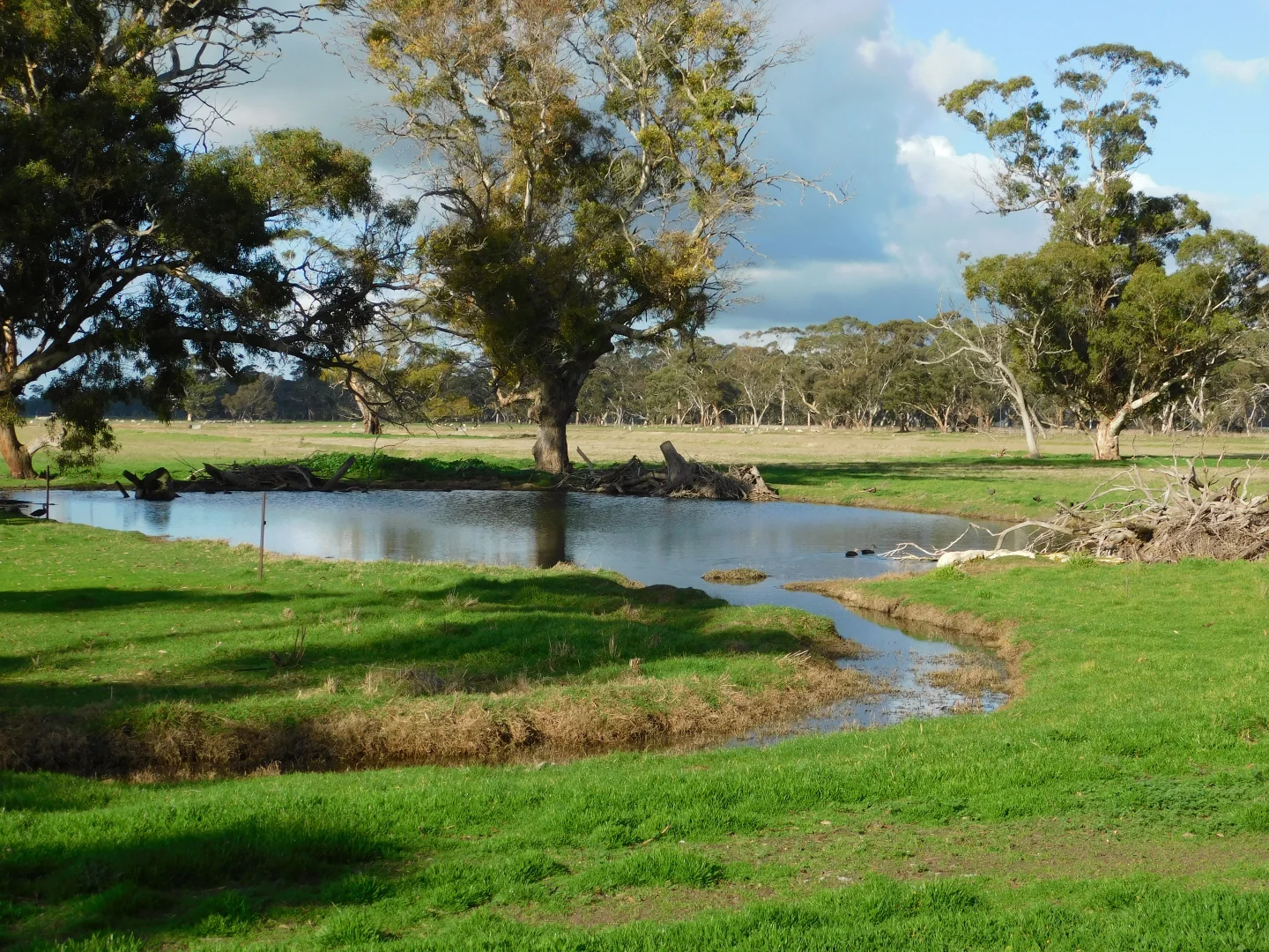 Additional image 13 of 1878 Cannawigara Road, Bordertown SA 5268