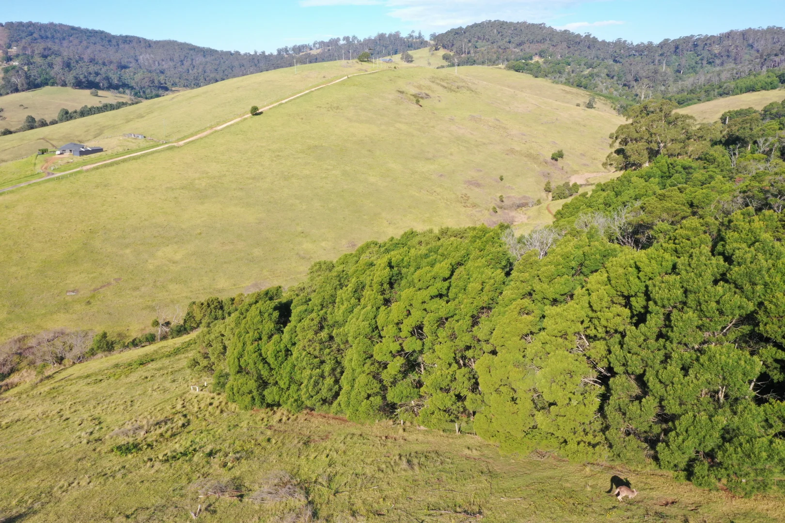 Additional image 17 of Lot 23 Fourter Road, Nethercote NSW 2549