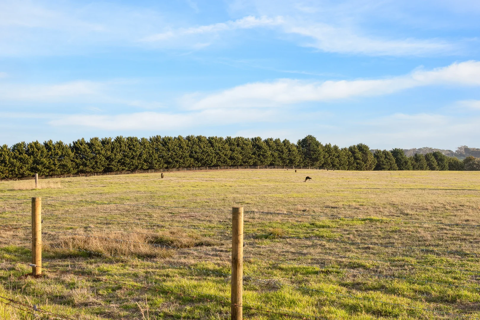 Additional image 14 of 225 Gap Road, Ventnor VIC 3922