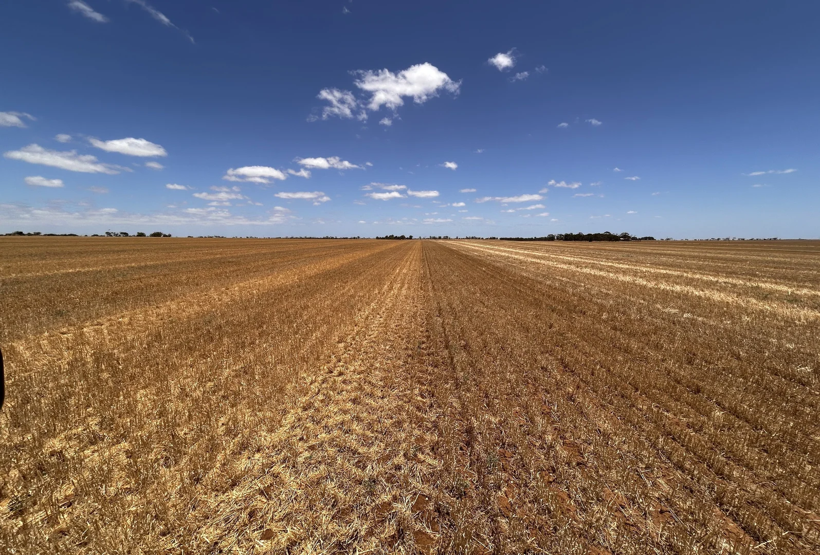 Additional image 4 of 114 Coconut Road, Paskeville SA 5552