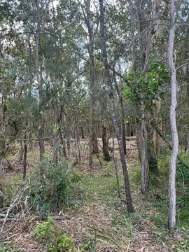 Additional image 4 of 398 Golden Glow Road, Tara QLD 4421