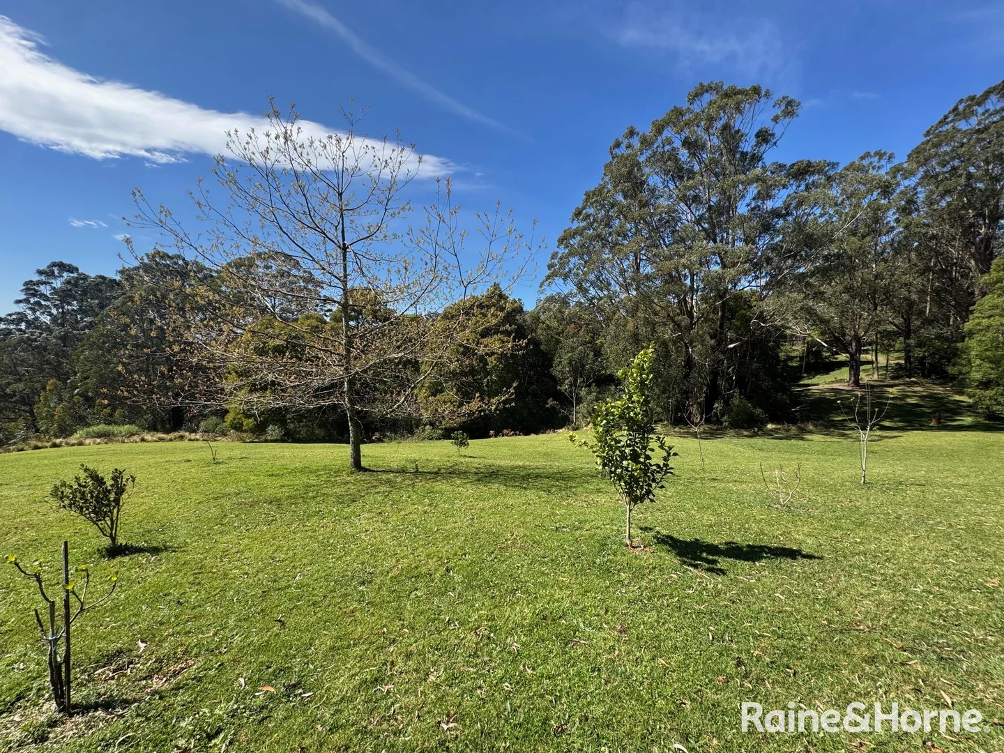Additional image 12 of 36 Sturgiss Road, Sassafras NSW 2622