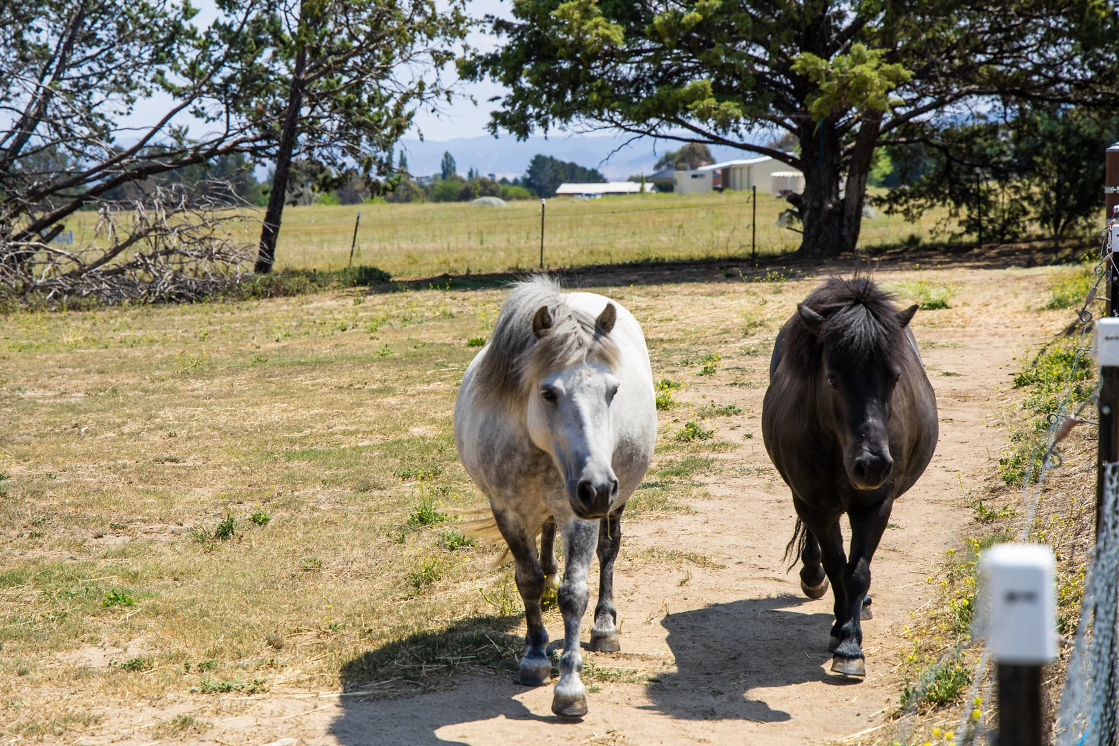 Additional image 27 of 3 Short Street, Berridale NSW 2628