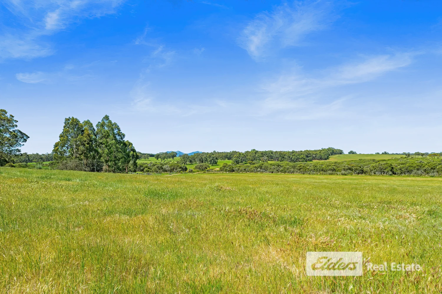 Additional image 22 of Lot 1443 Wallinger Road, Narrikup WA 6326