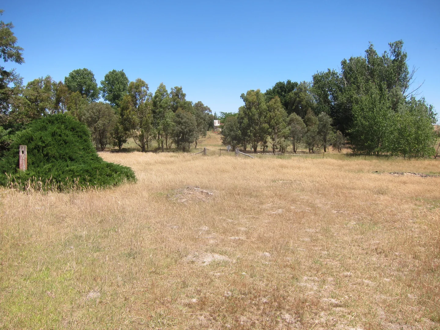 Additional image 7 of 1401 Jerrawa Road, Dalton NSW 2581