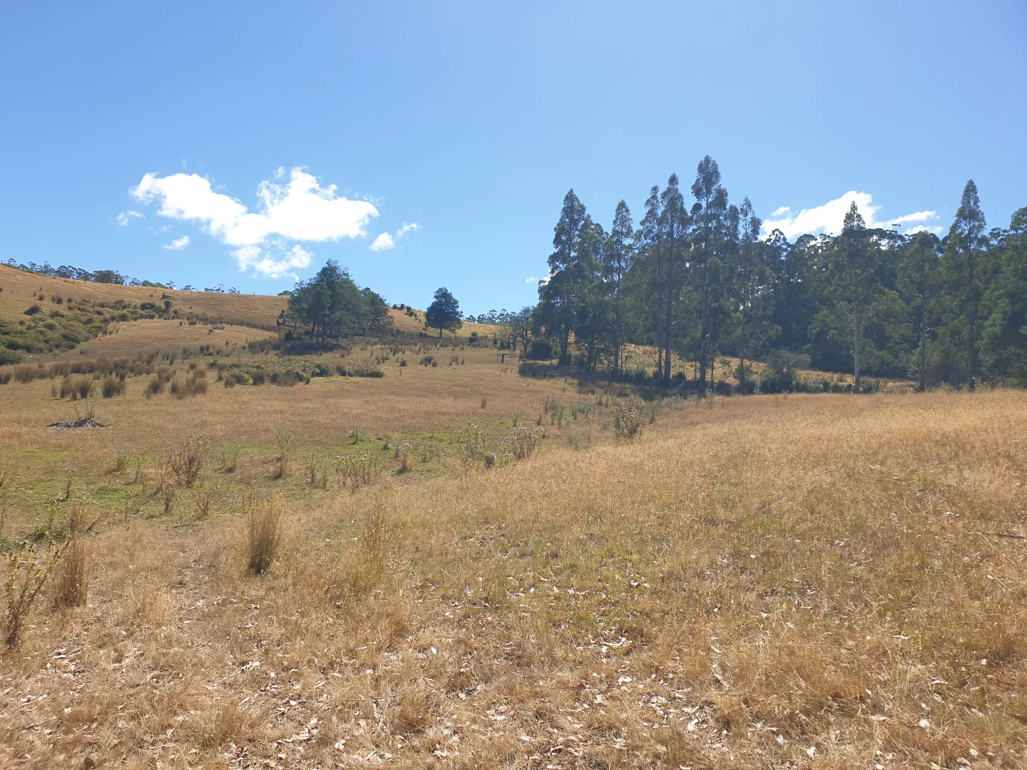Additional image 12 of Lot 1 Huon Highway, Dover TAS 7117
