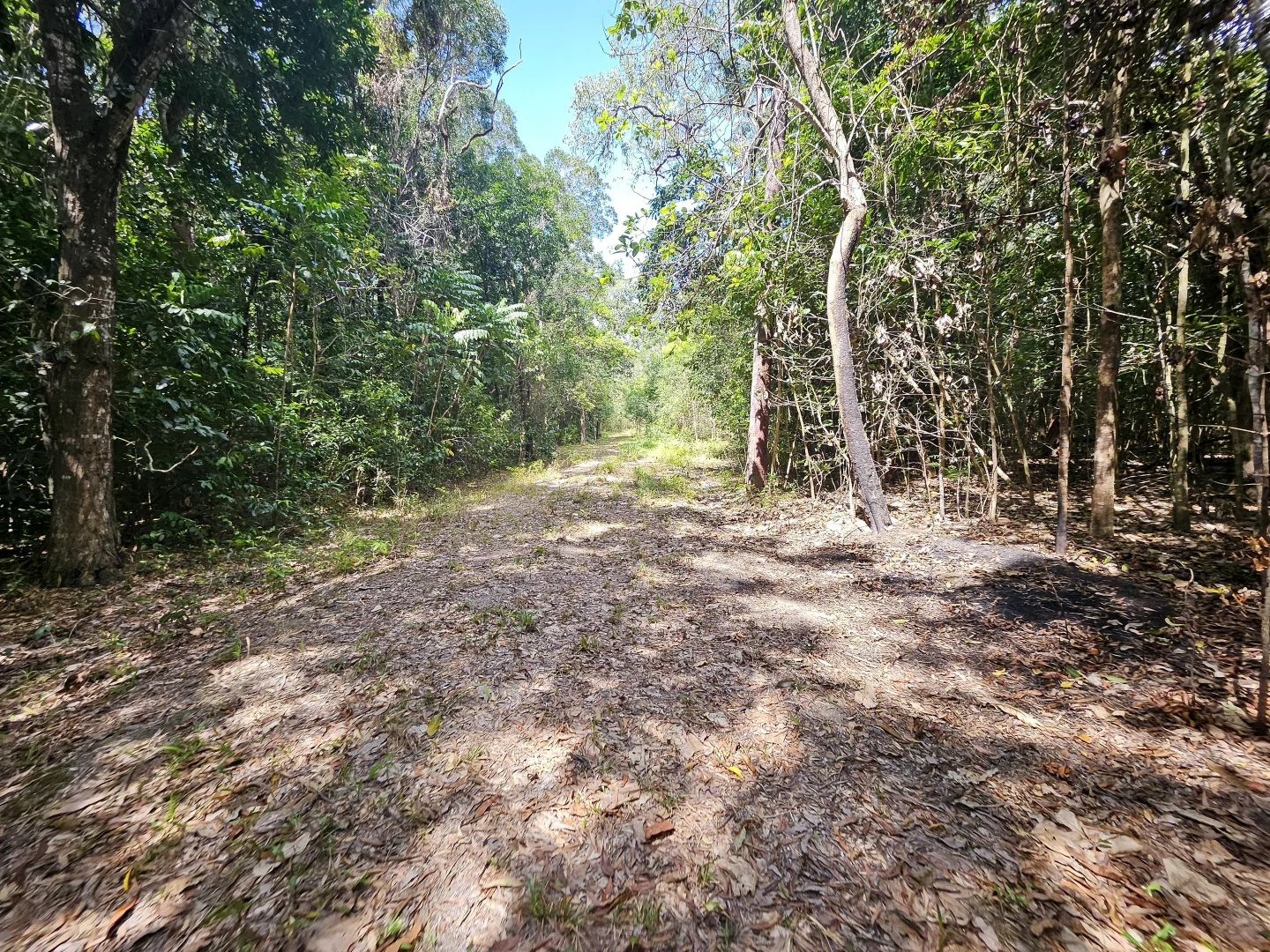 Additional image 7 of 2401 Rossville Bloomfield Road, Bloomfield QLD 4895