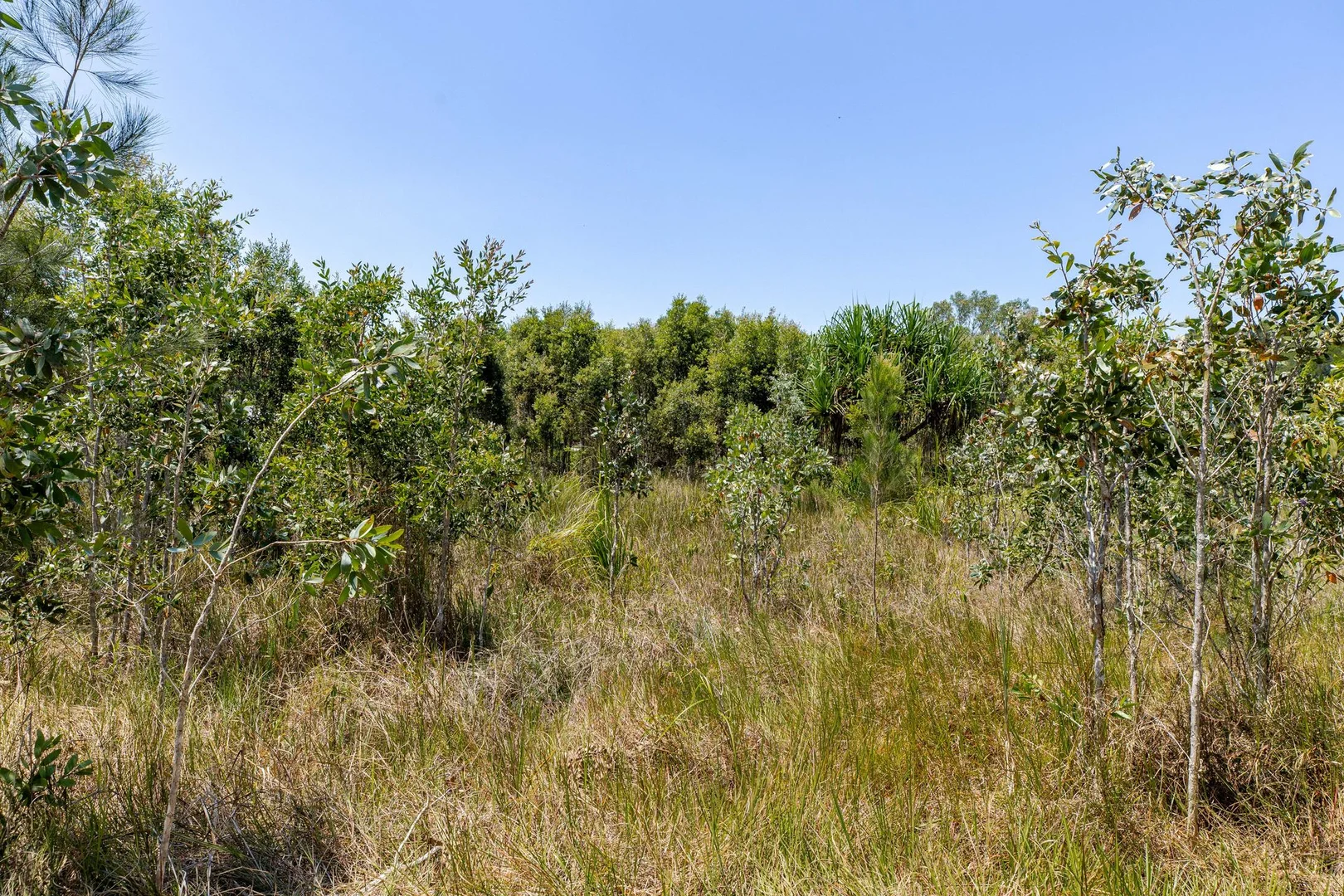 Additional image 9 of Lot 92/96 Mary Jane Drive, Julatten QLD 4871