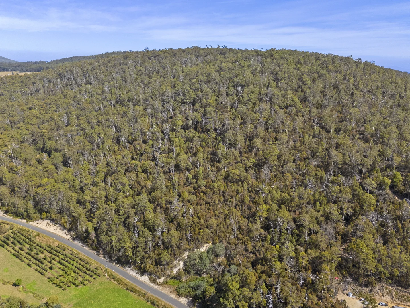 Additional image 18 of 2 and 3 White Beach Road, White Beach TAS 7184