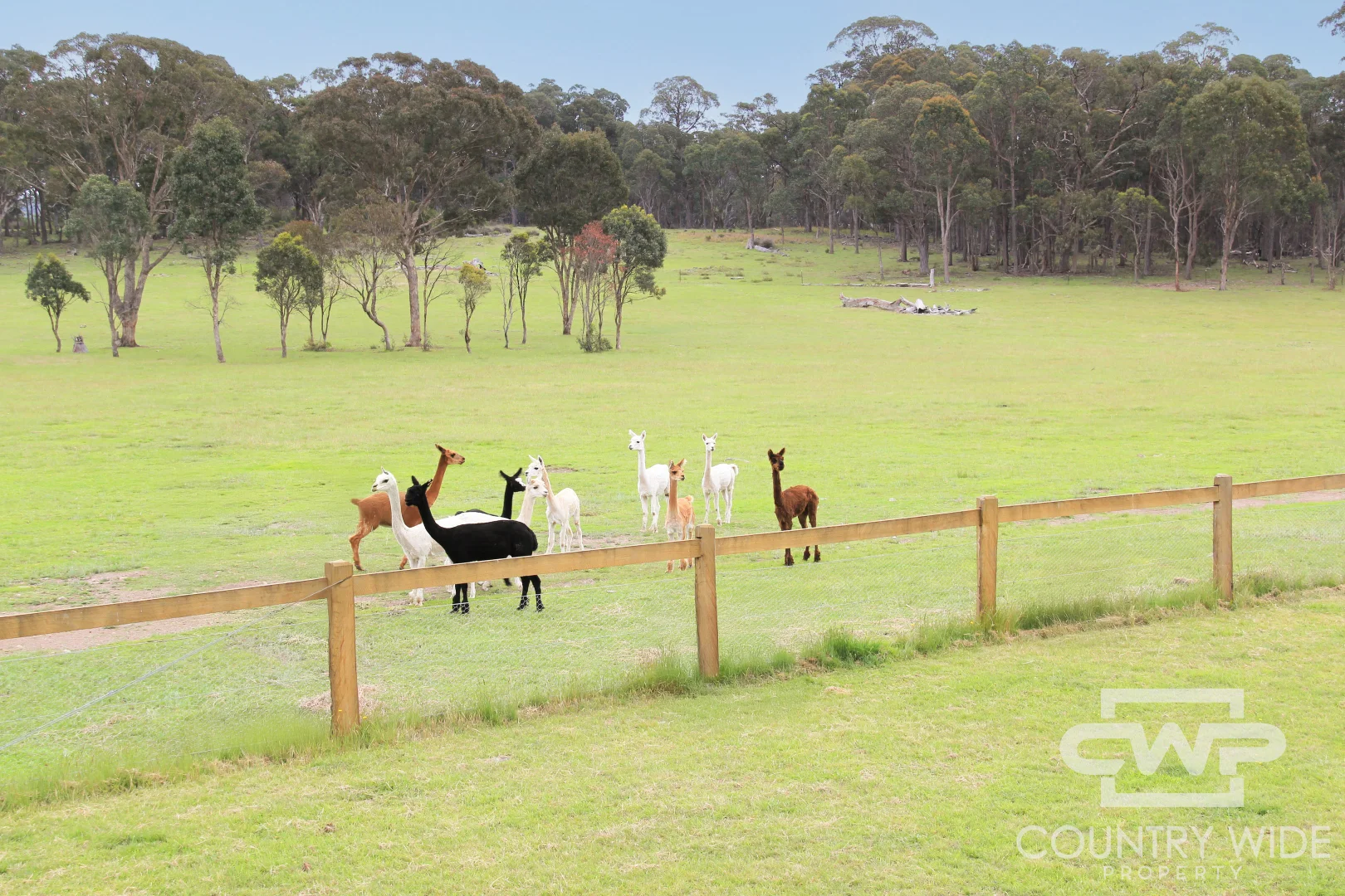 Additional image 20 of 954 Bullock Mountain Road, Glen Innes NSW 2370