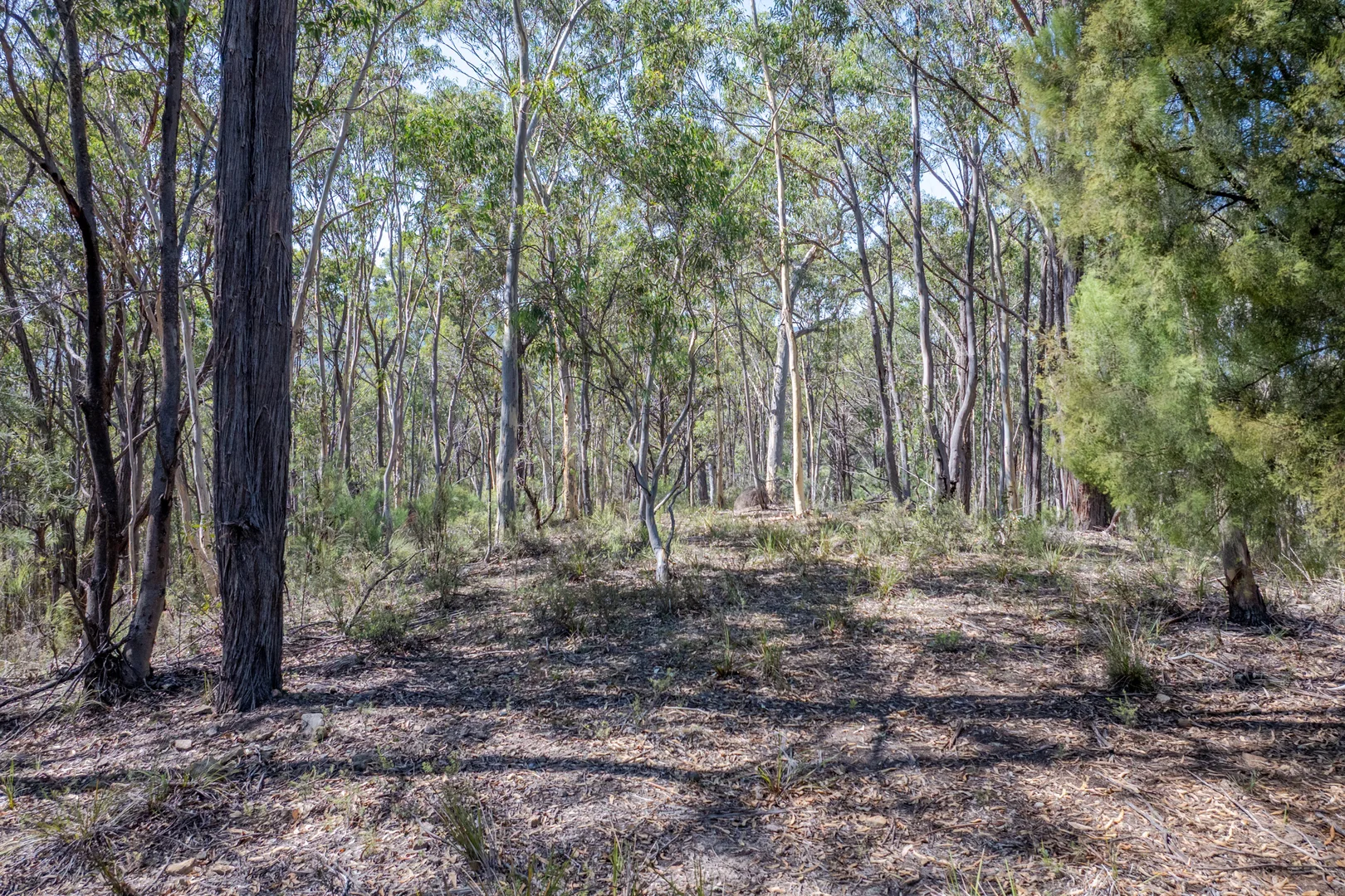 Additional image 4 of Lot 3422 Blackheath Creek Road, Kanimbla NSW 2790