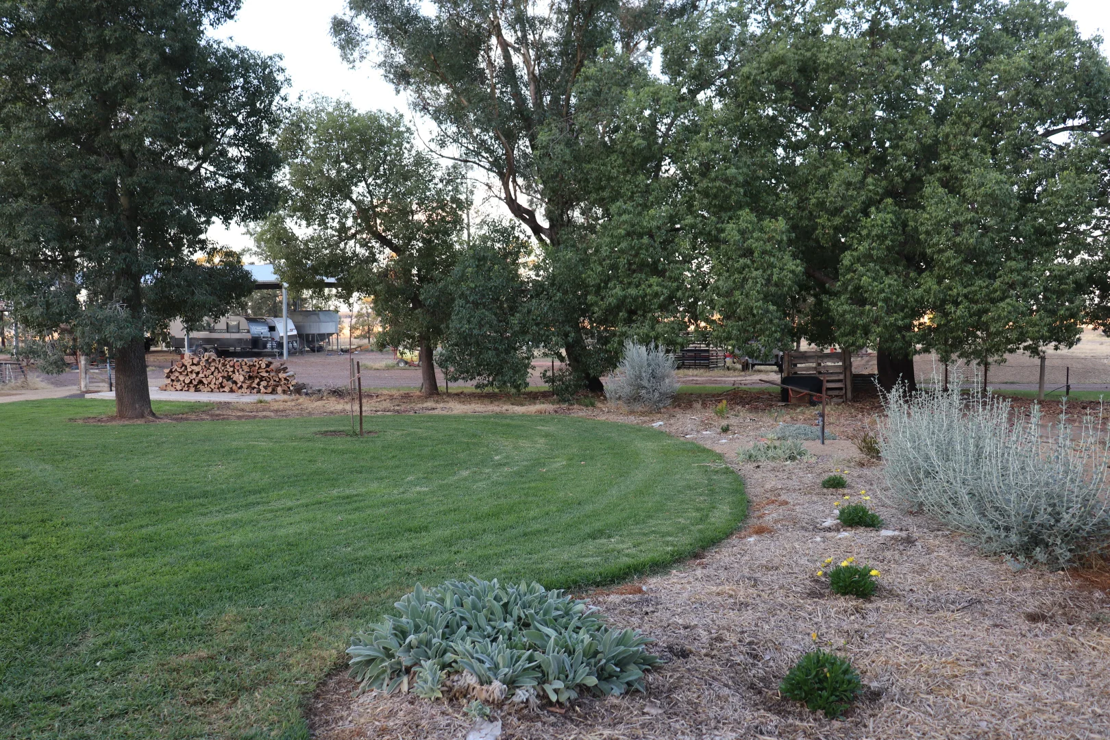 Additional image 29 of 877 Mount Tallabung Road, Forbes NSW 2871