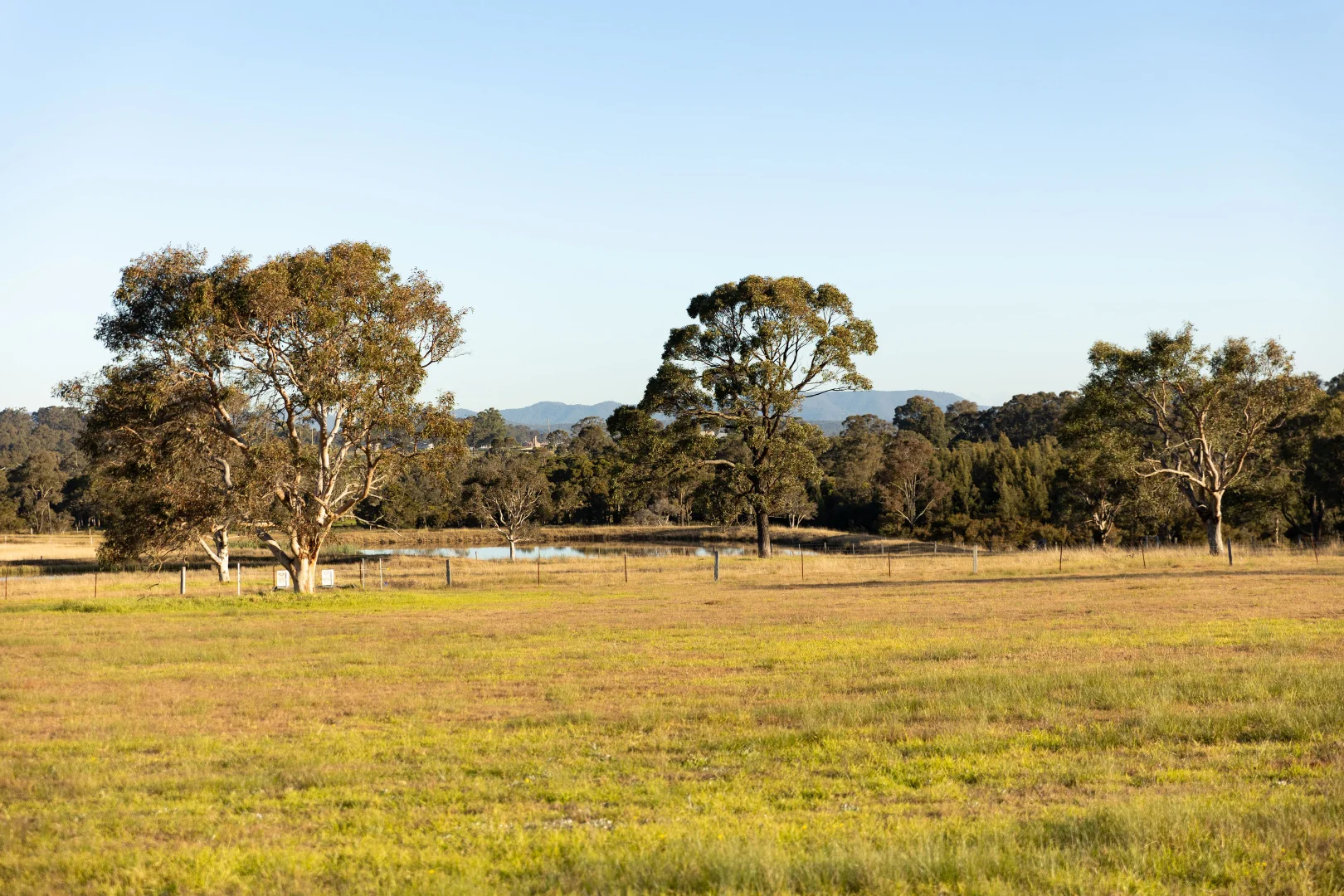 Additional image 30 of 168 Lomas Lane, Nulkaba NSW 2325