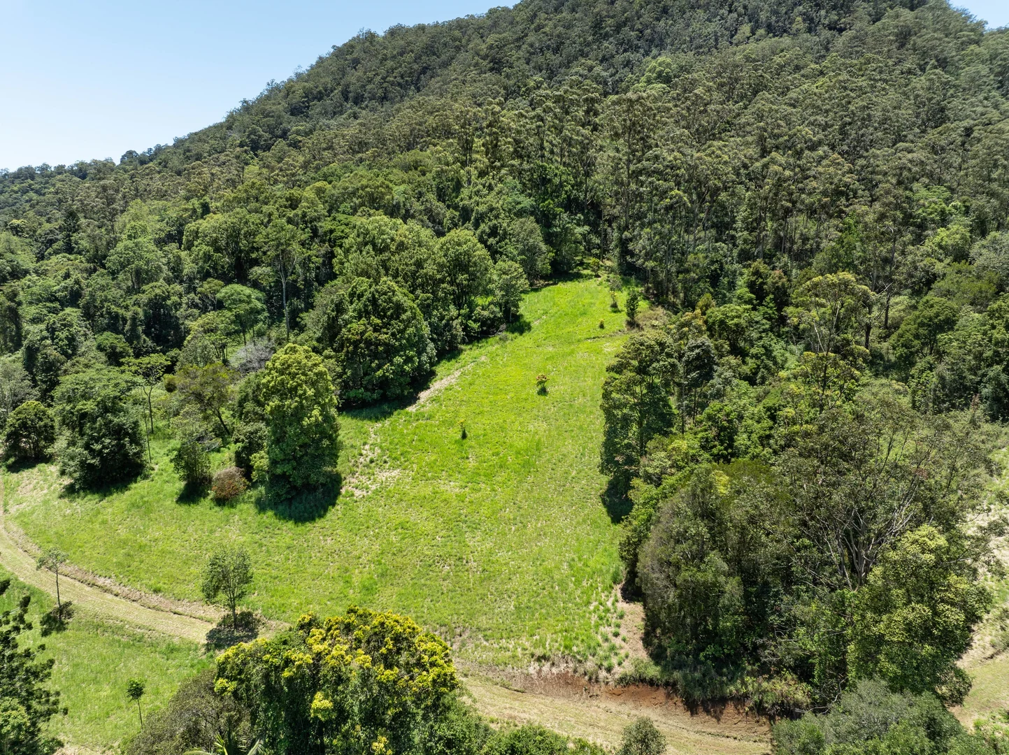 Additional image 29 of 197 Tree Fern Road, Mount Warning NSW 2484