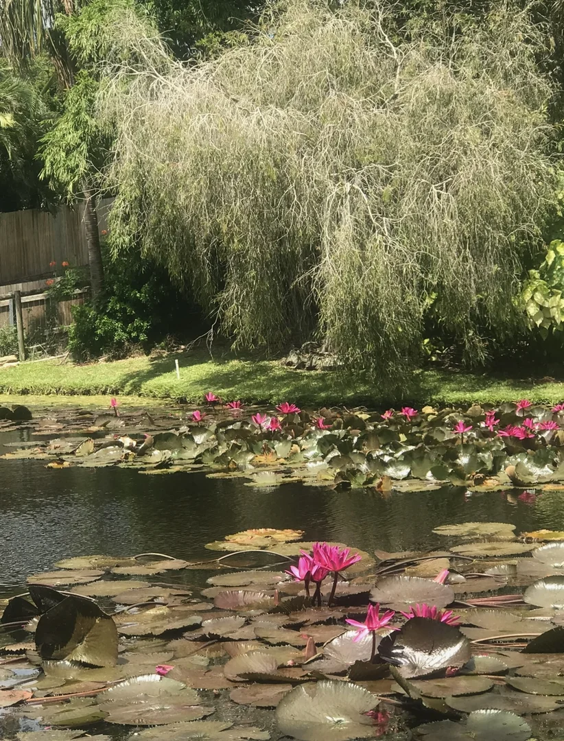 Additional image 22 of 6 Mac Stocks Drive, Dundowran QLD 4655