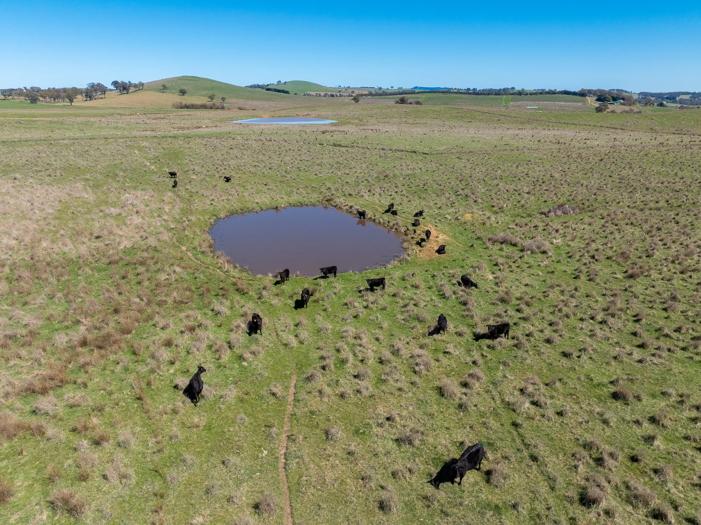 Additional image 13 of 242 Bundaleer Road, Newbridge NSW 2795