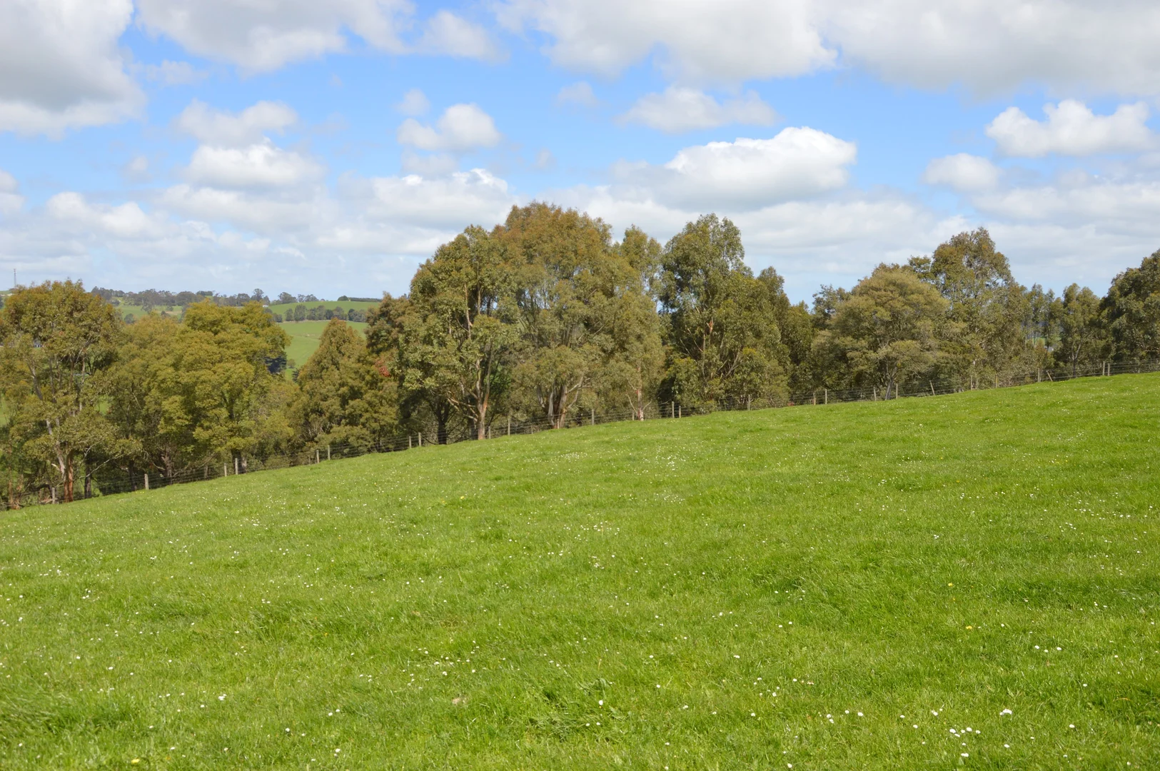 Additional image 29 of 59 Bellview Lane, Korumburra VIC 3950