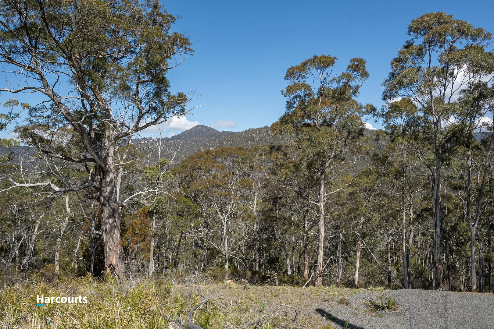 Additional image 4 of 54 Bull Oak Way, Grove TAS 7109