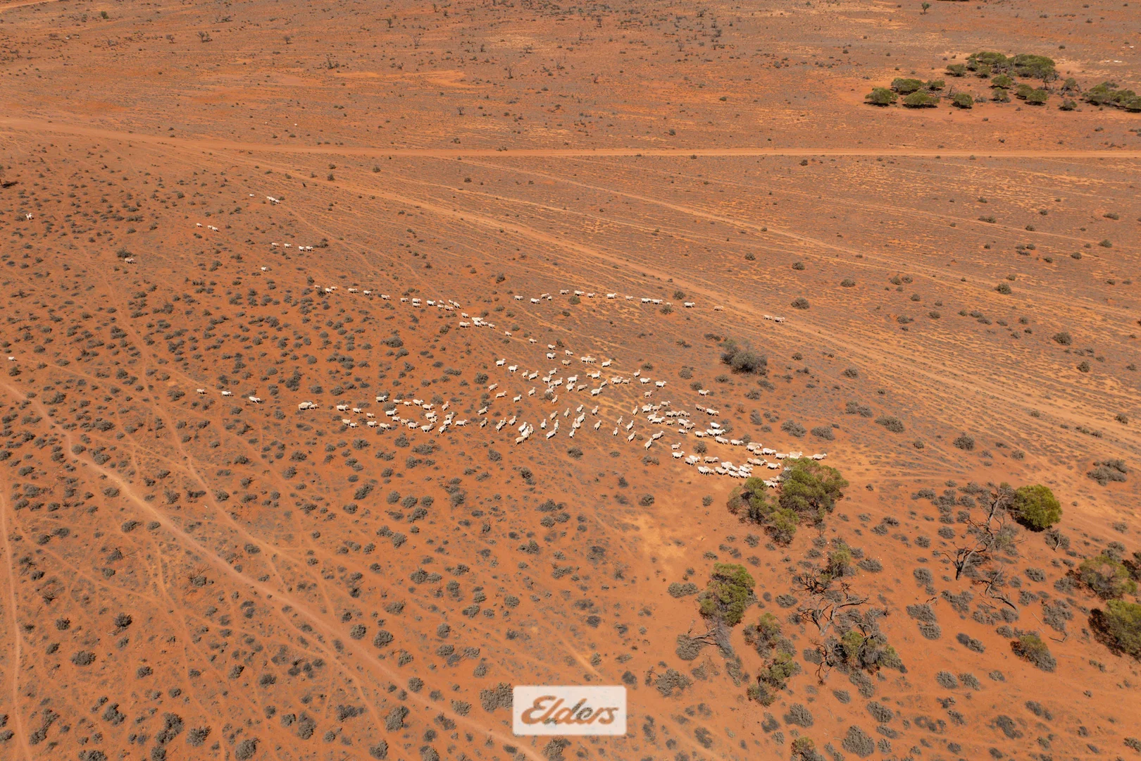 Additional image 30 of 4867 Menindee Road, Broken Hill NSW 2880