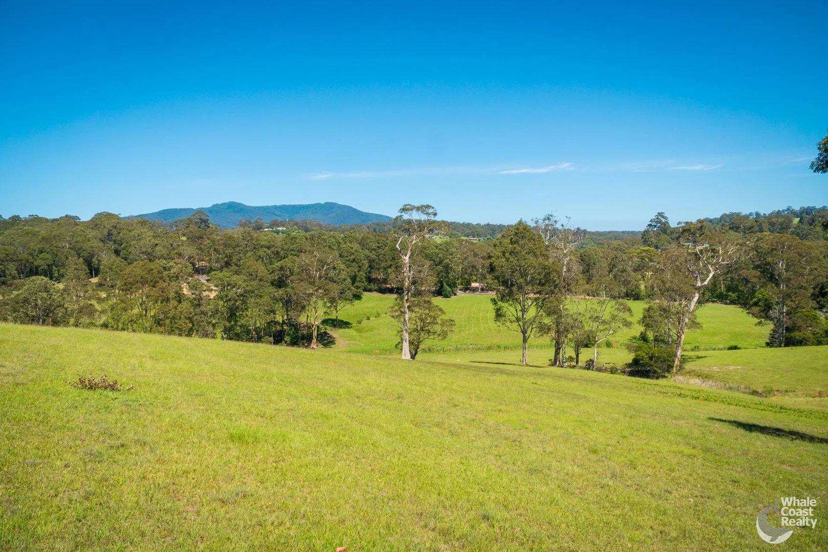 Additional image 4 of 6, 81 Wonga Road, Narooma NSW 2546