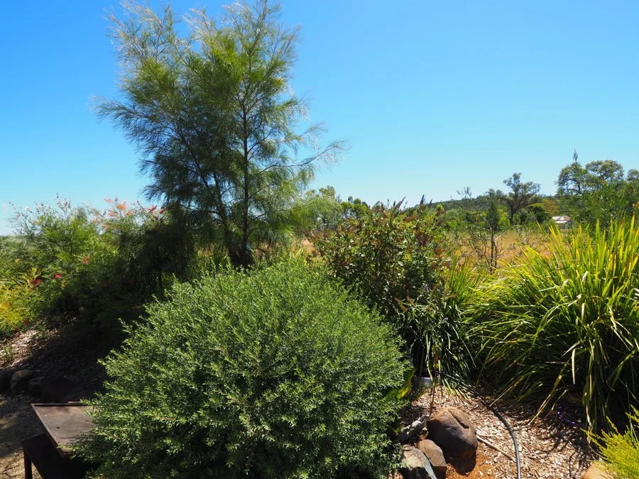 Additional image 10 of Warialda Rail NSW 2402