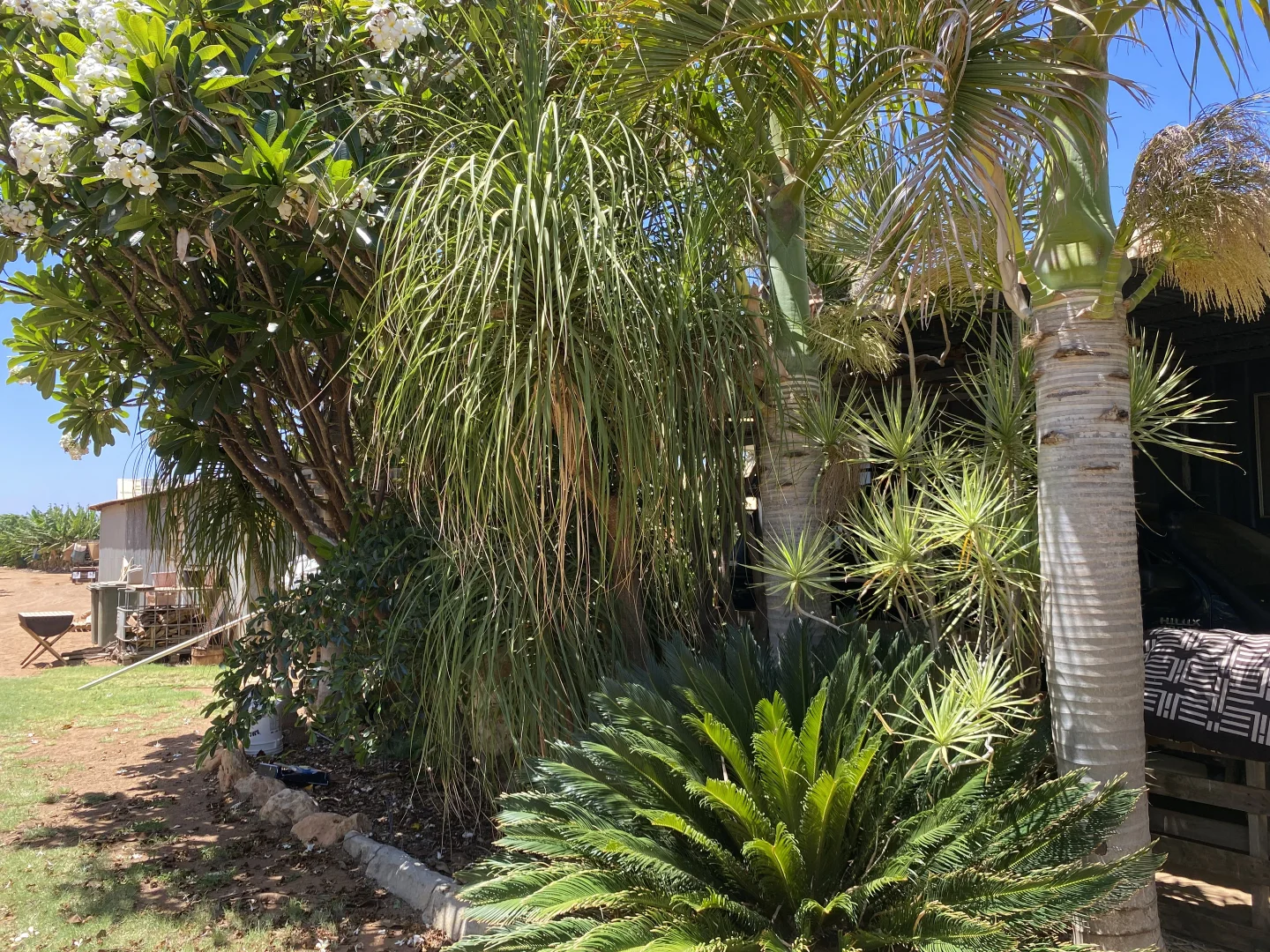 Additional image 19 of 600 South River Road, South Plantations WA 6701