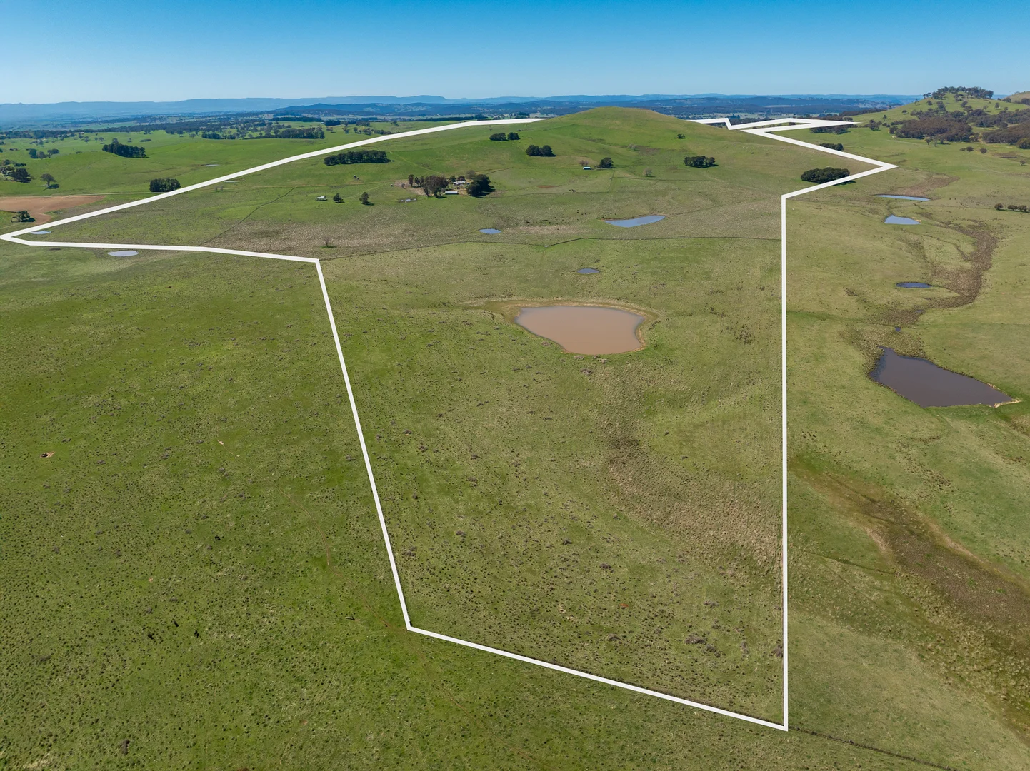 Additional image 4 of 242 Bundaleer Road, Newbridge NSW 2795