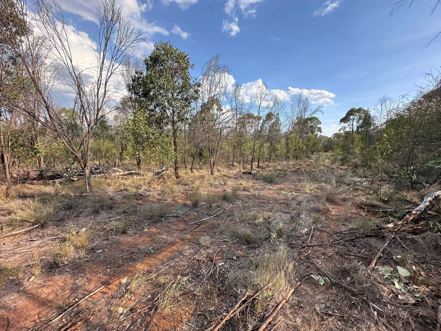 Additional image 19 of 15778 Surat Development Road, Goranba QLD 4421