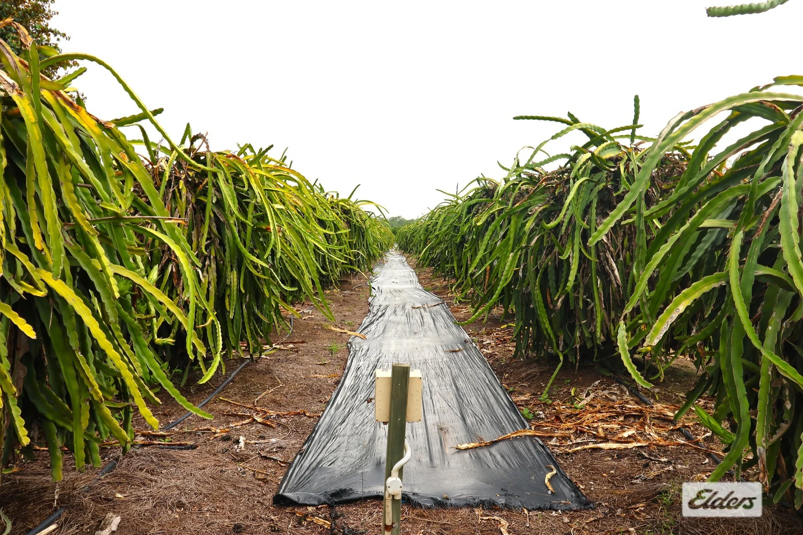 Additional image 18 of 125 Buckley Road, Lambells Lagoon NT 0822