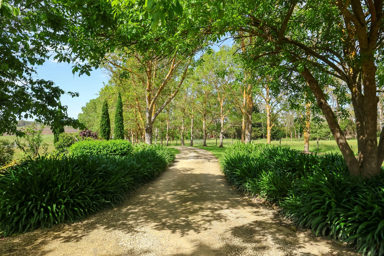 Additional image 24 of 335 Rollos Road, Panmure VIC 3265