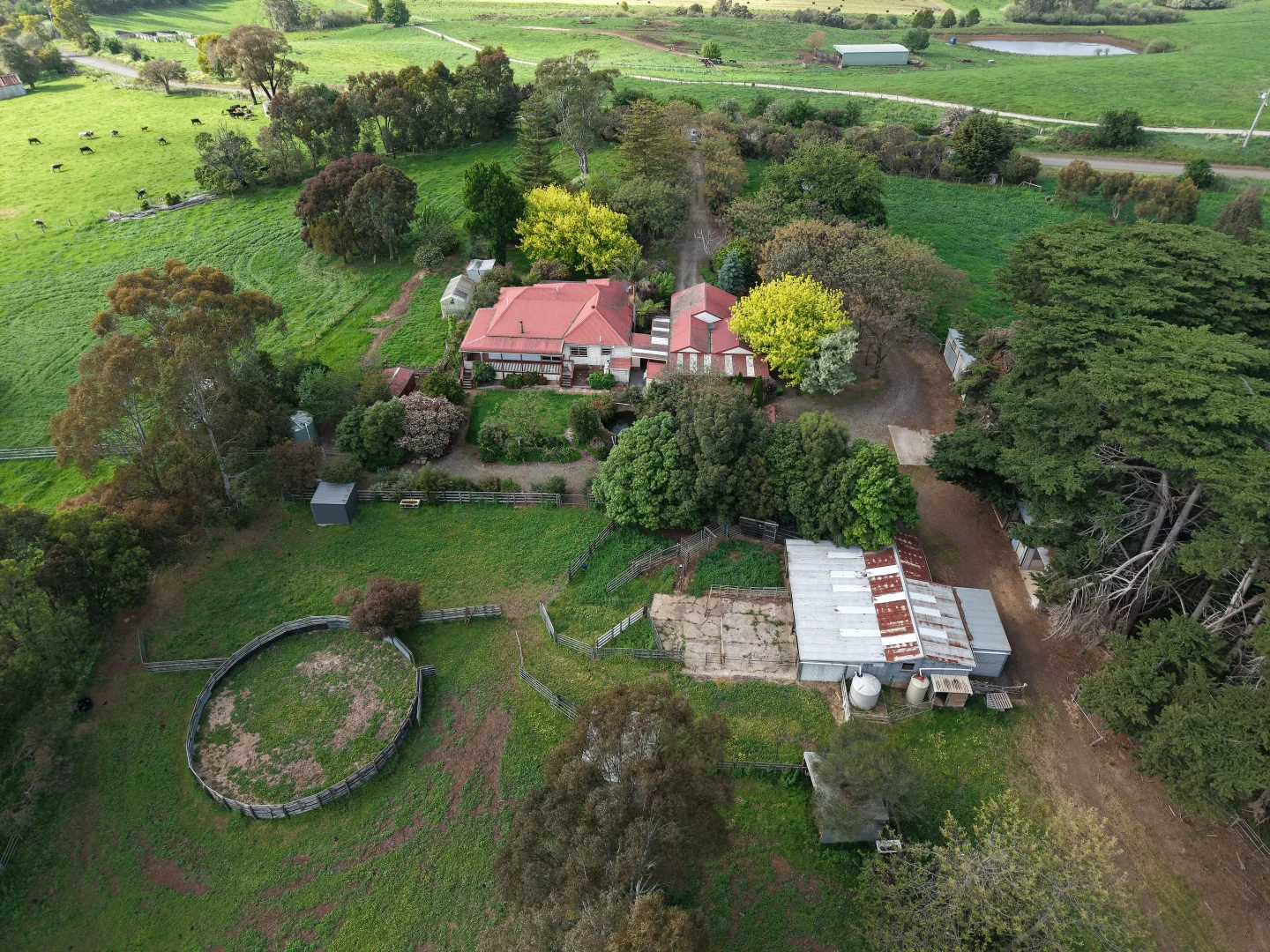 Additional image 32 of 335 Harveys Road, Ruby VIC 3953