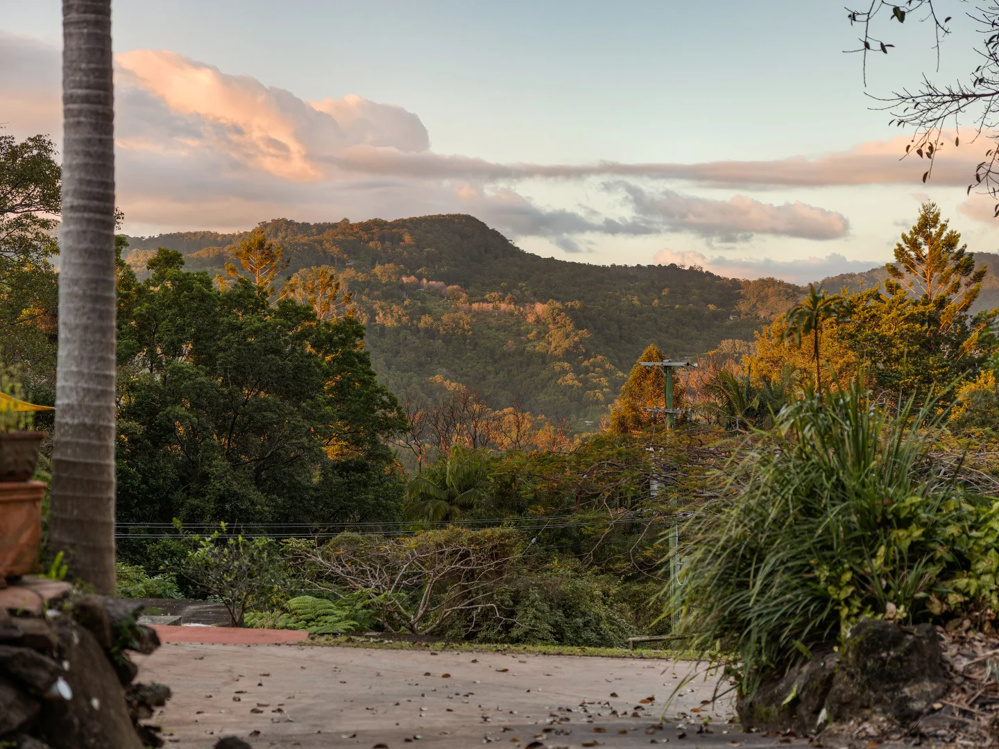 Additional image 35 of 117 Reynolds Road, Currumbin Valley QLD 4223