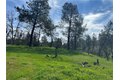 Additional image 6 of 4456 Mount Bullion Cut off Rd, Catheys Valley, CA, 95306