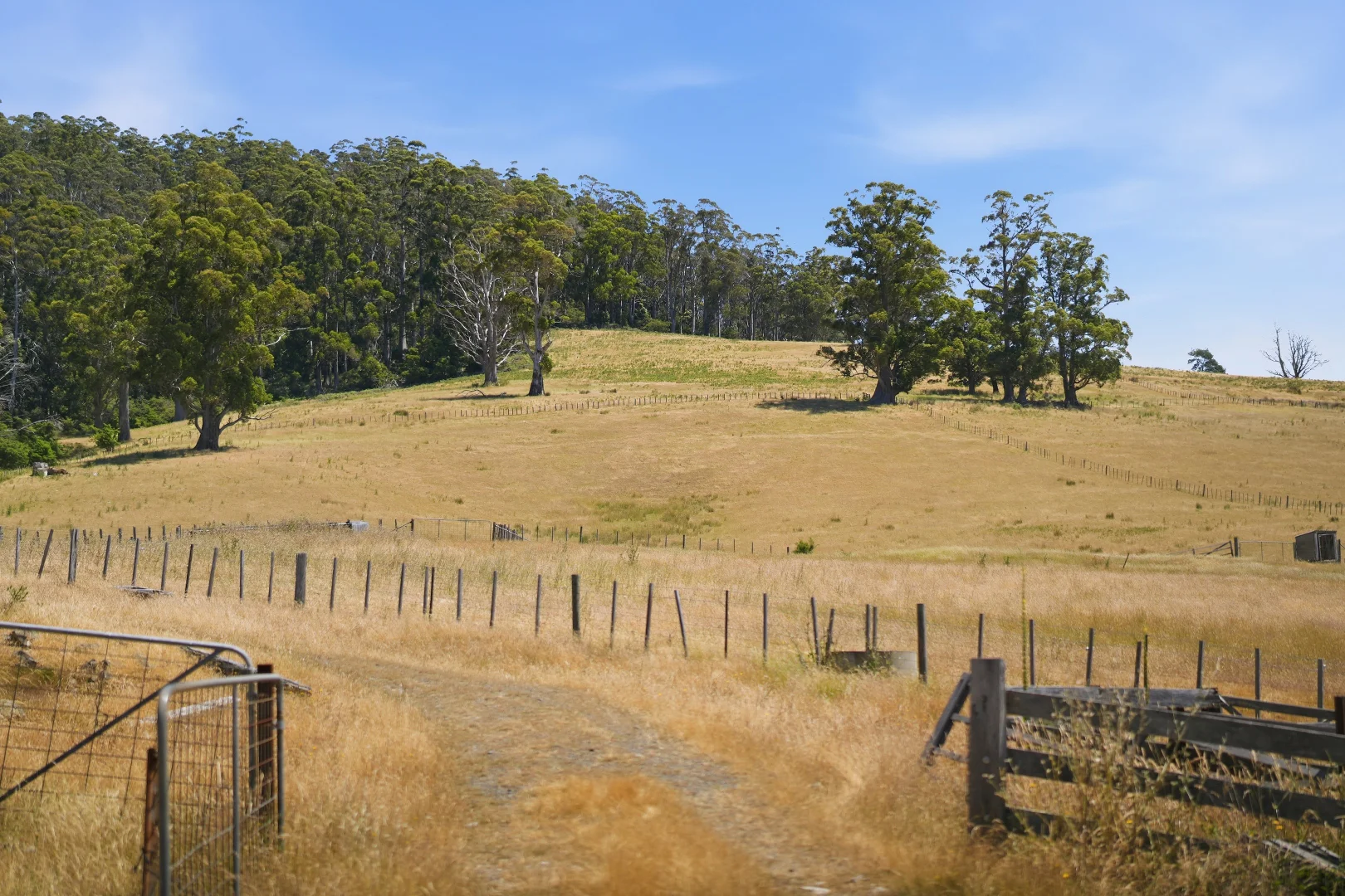 Additional image 14 of Lot 2/107 Lalla Road, Lilydale TAS 7268