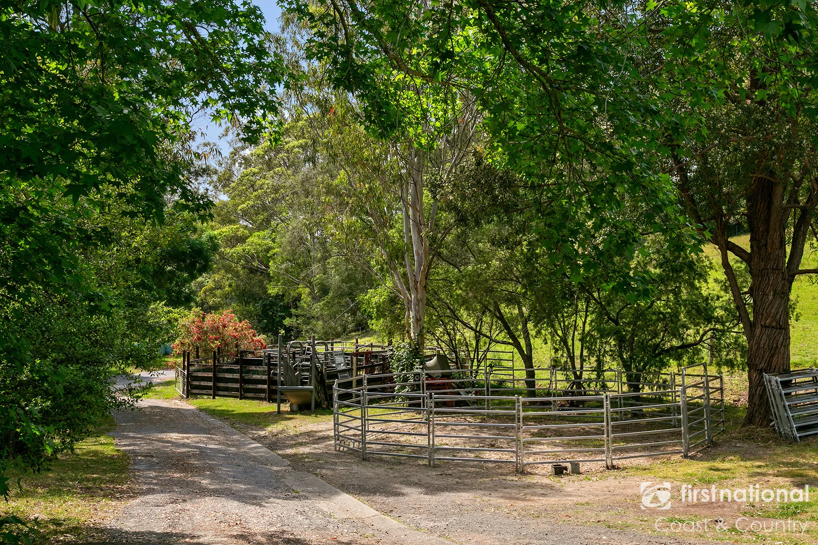 Additional image 10 of 259 Minnamurra Falls Road, Jamberoo NSW 2533