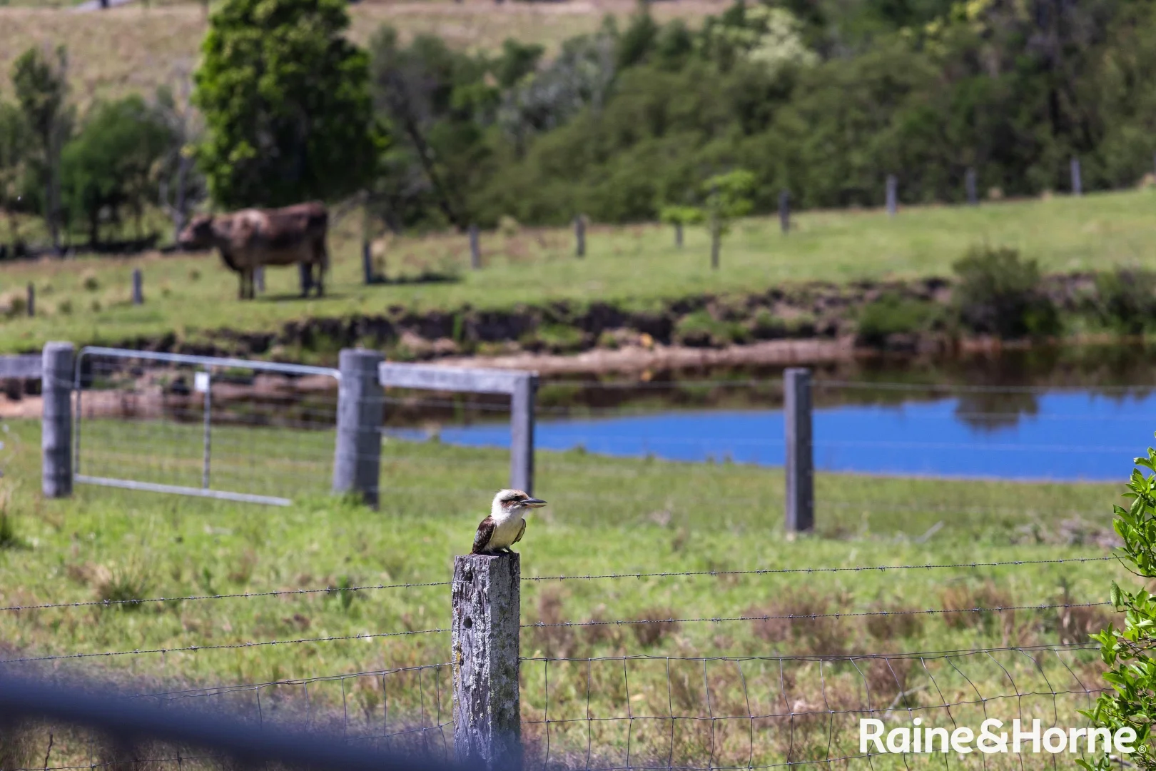 Additional image 24 of 41 Currowar Lane, Yatte Yattah NSW 2539