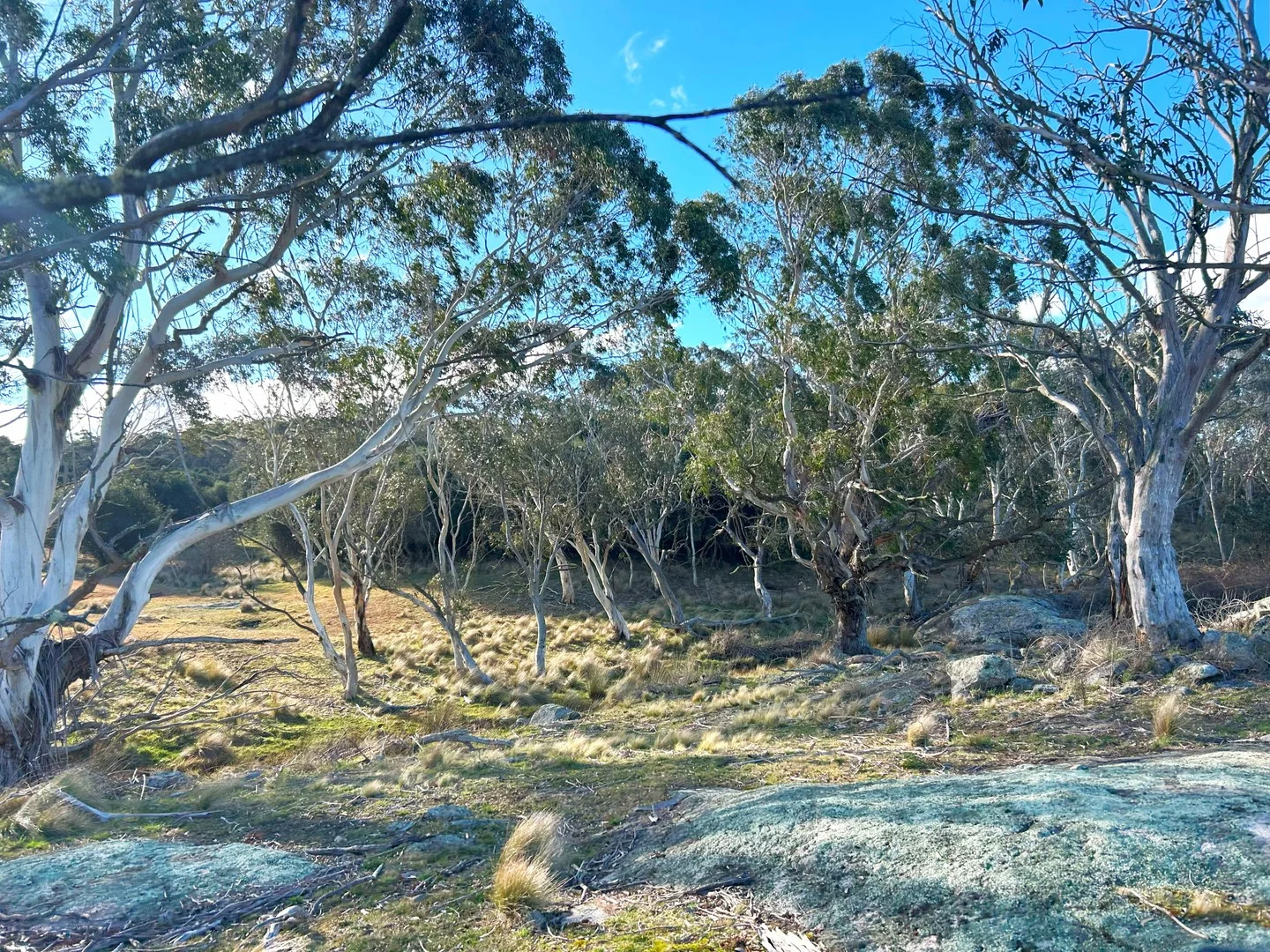 Additional image 13 of 11 & 128 Stoney Ridge Road, Braidwood NSW 2622