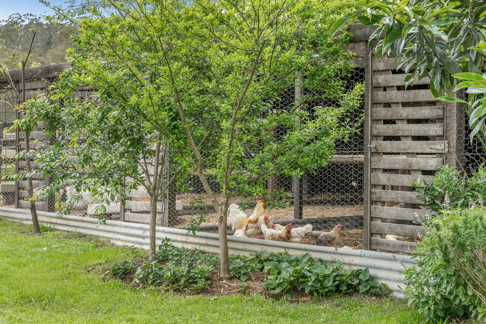 Additional image 30 of 1139 Old Dyraaba Rd, Lower Dyraaba NSW 2470