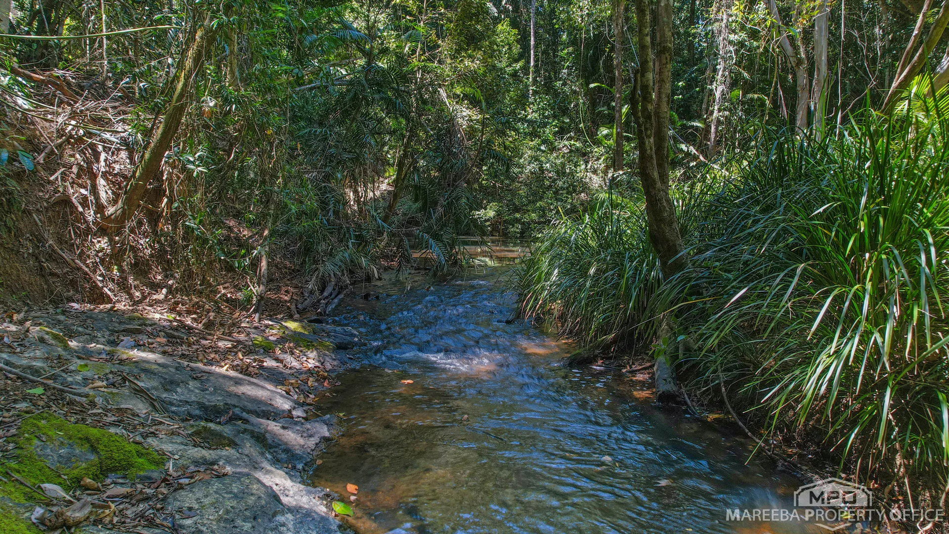 Additional image 35 of 4532 Black Mountain Road, Julatten QLD 4871