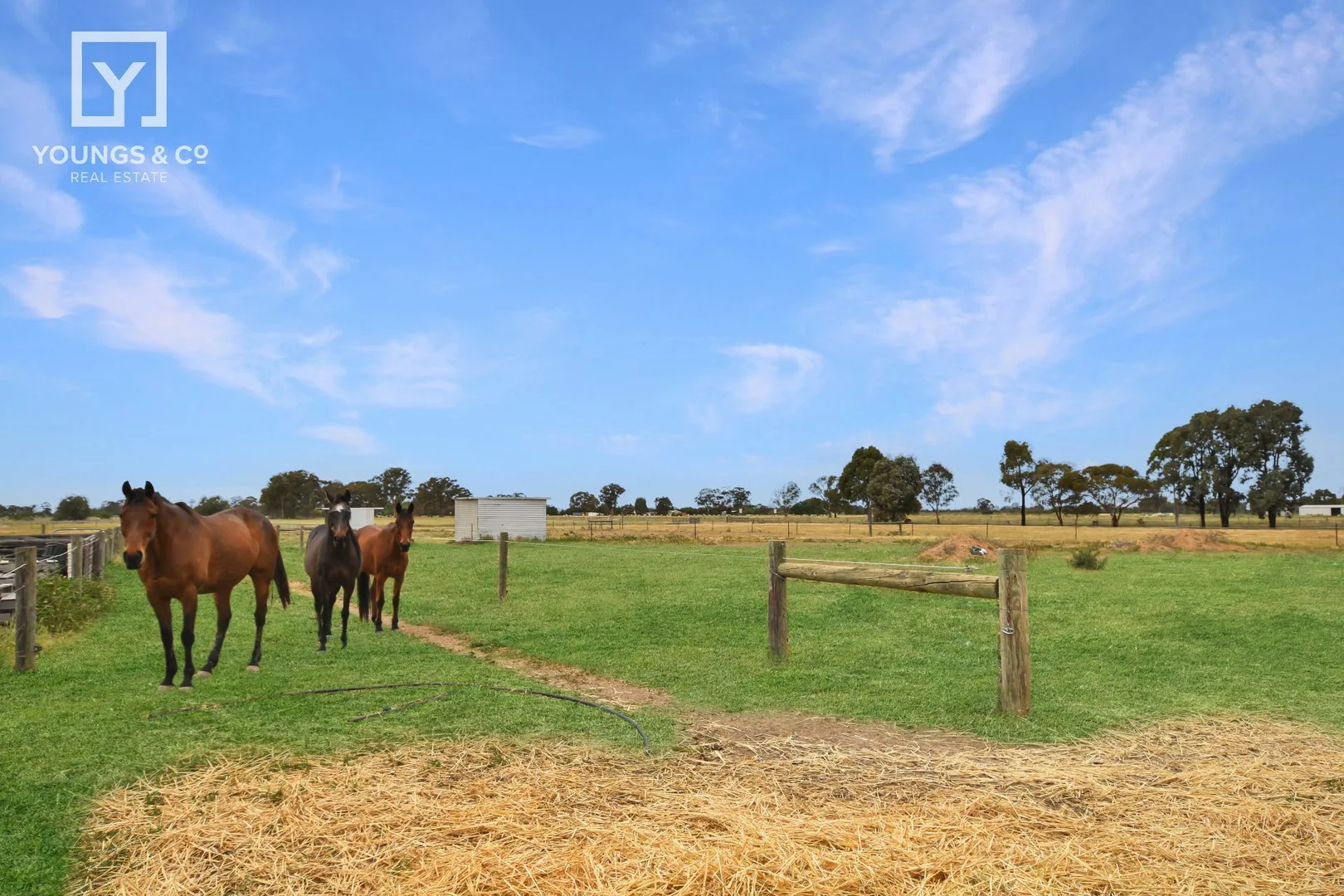 Additional image 19 of 755 Downer Rd, Toolamba VIC 3614