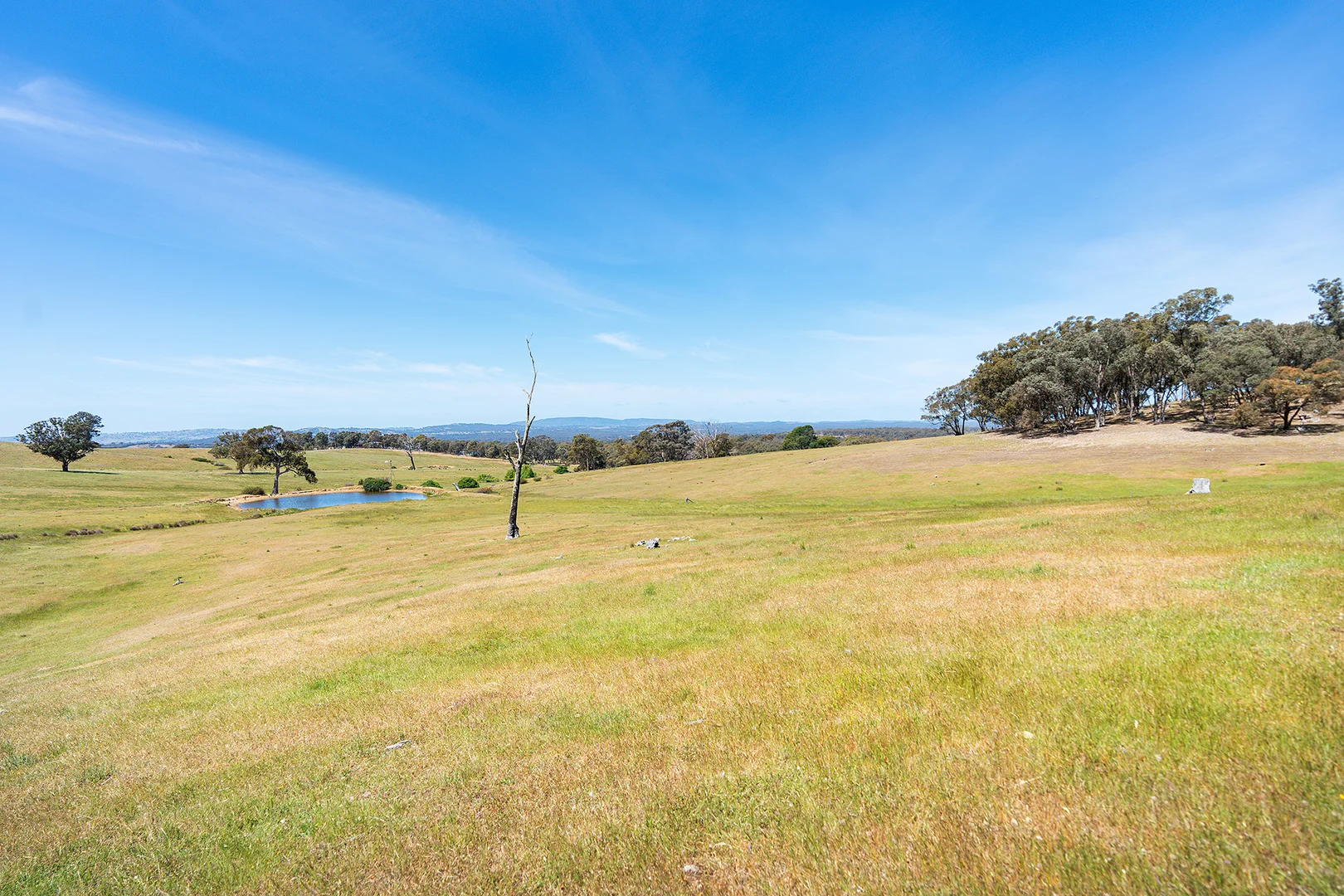 Additional image 6 of 186 Bells Reef Road, Maldon VIC 3463