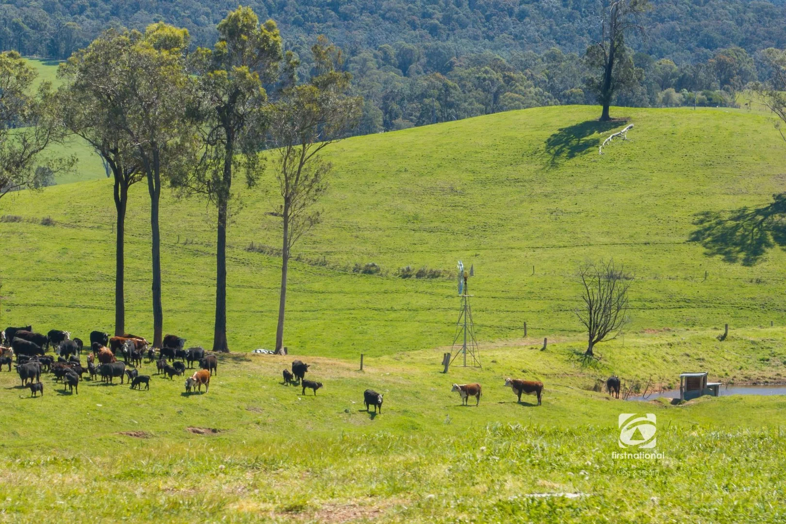 Additional image 32 of 80 Bouchers Road, Clifton Creek VIC 3875