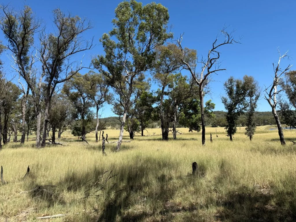 Additional image 7 of Lot 4 / 132 Eukey Road, Stanthorpe QLD 4380