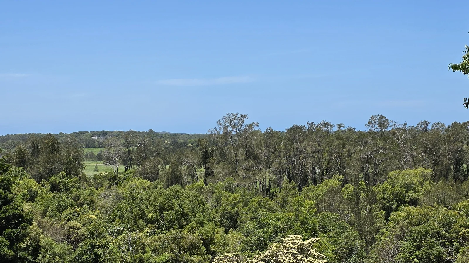 Additional image 11 of 70 North Teven Road, Teven NSW 2478