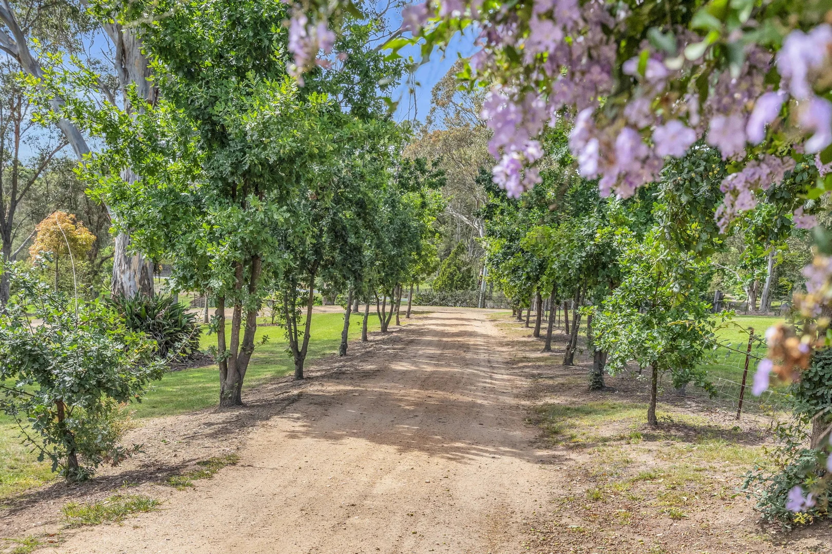 Additional image 19 of 90 Kerrisons Lane, Bega NSW 2550