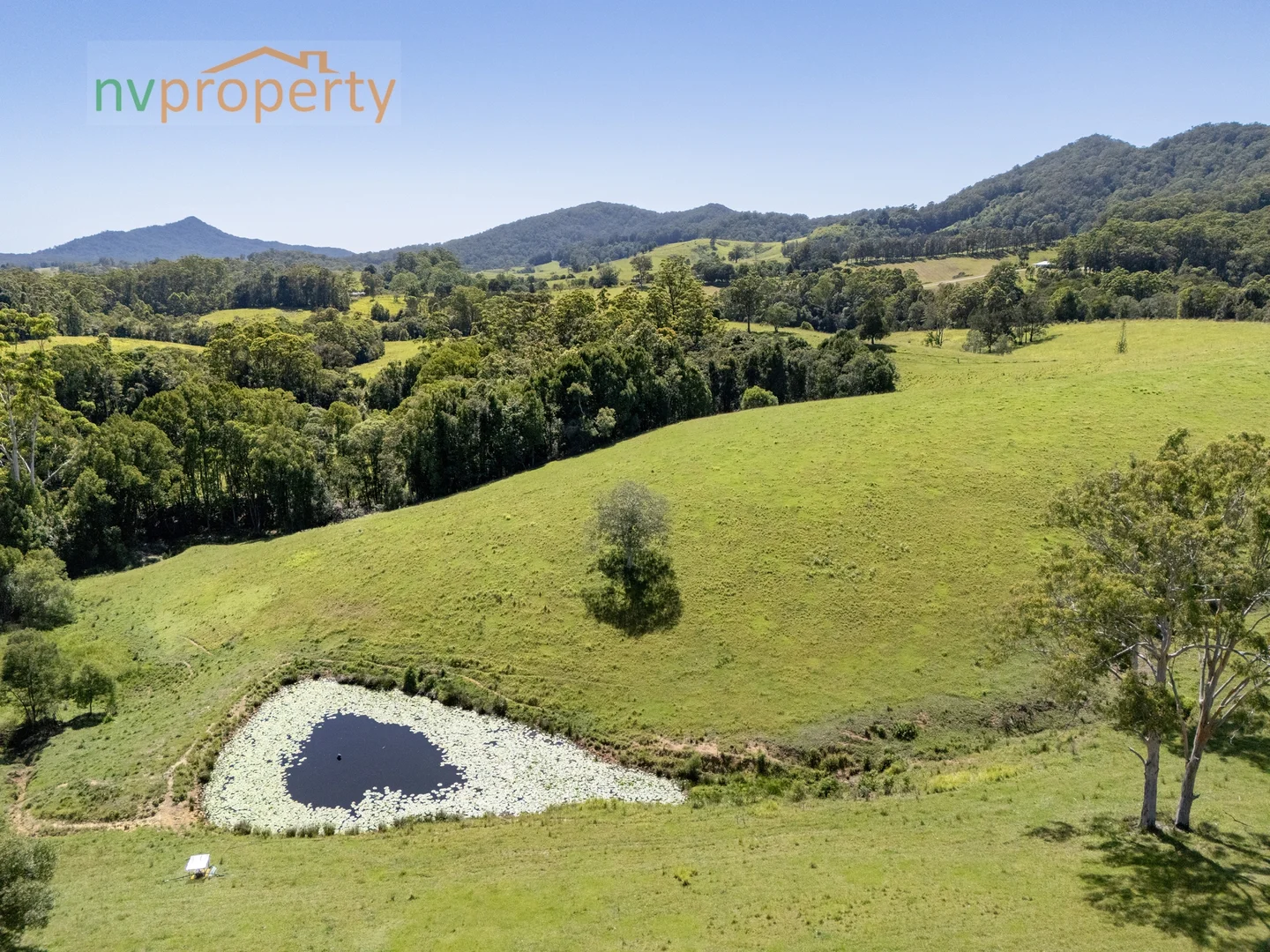 Additional image 23 of 657 Newee Creek Road, Newee Creek NSW 2447